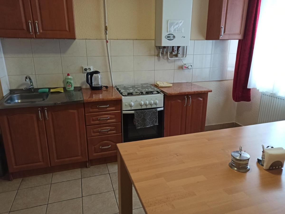 Vip Apartments In The Centre Mukaczewo Zewnętrze zdjęcie